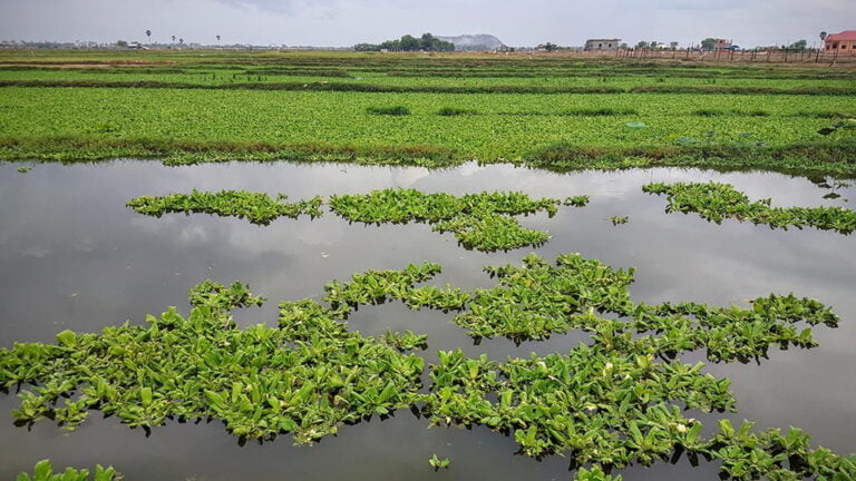 Siem Reap Province: A Hidden Gem of Cambodia’s Northwest Siem Reap Province: A Hidden Gem of Cambodia’s Northwest