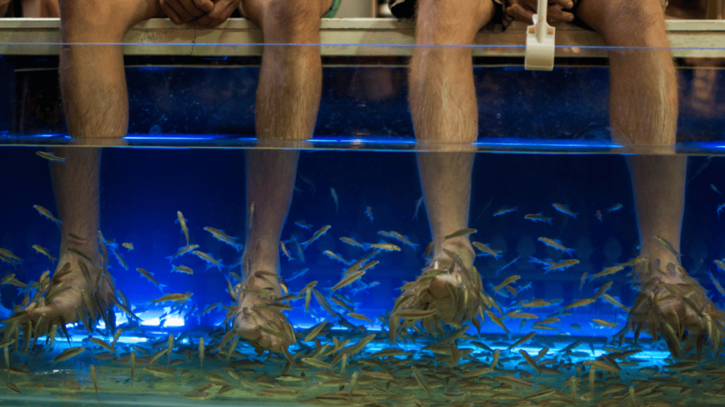 Experience the thrill of a fish massage in Siem Reap's Pub Street.